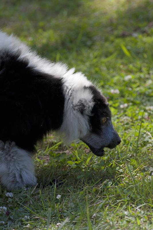 Cjp_2011_08_01_120514 (2).jpg